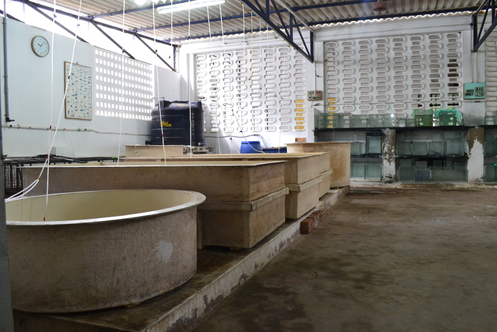 Animal House II(Wet Laboratory)