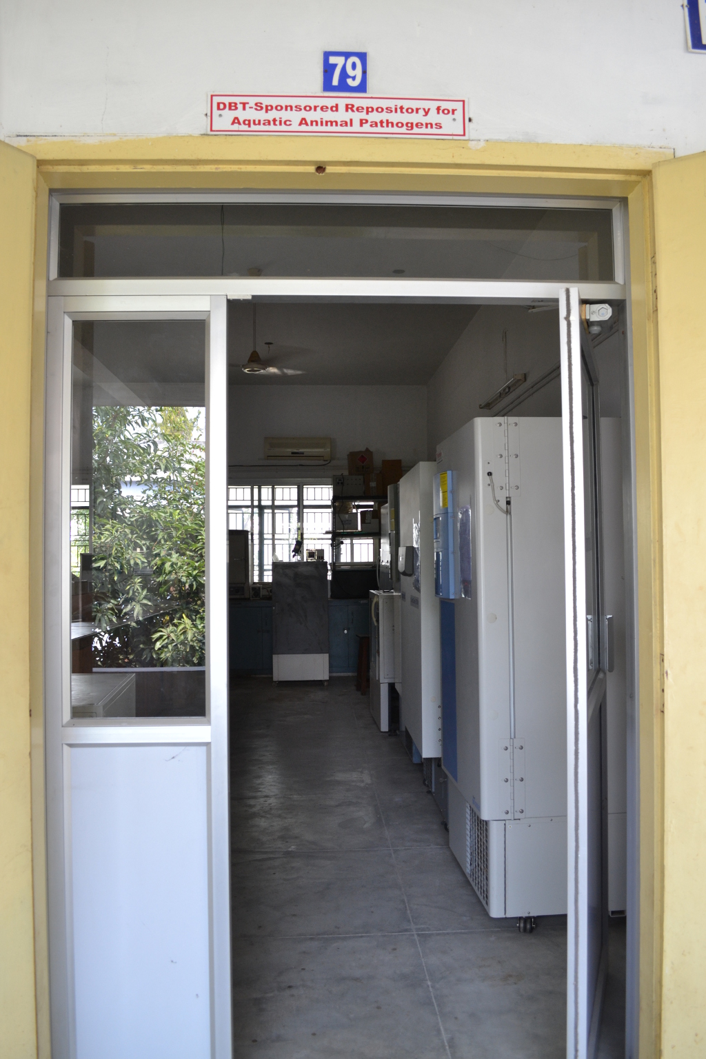 Aquatic Animal Pathogens Repository