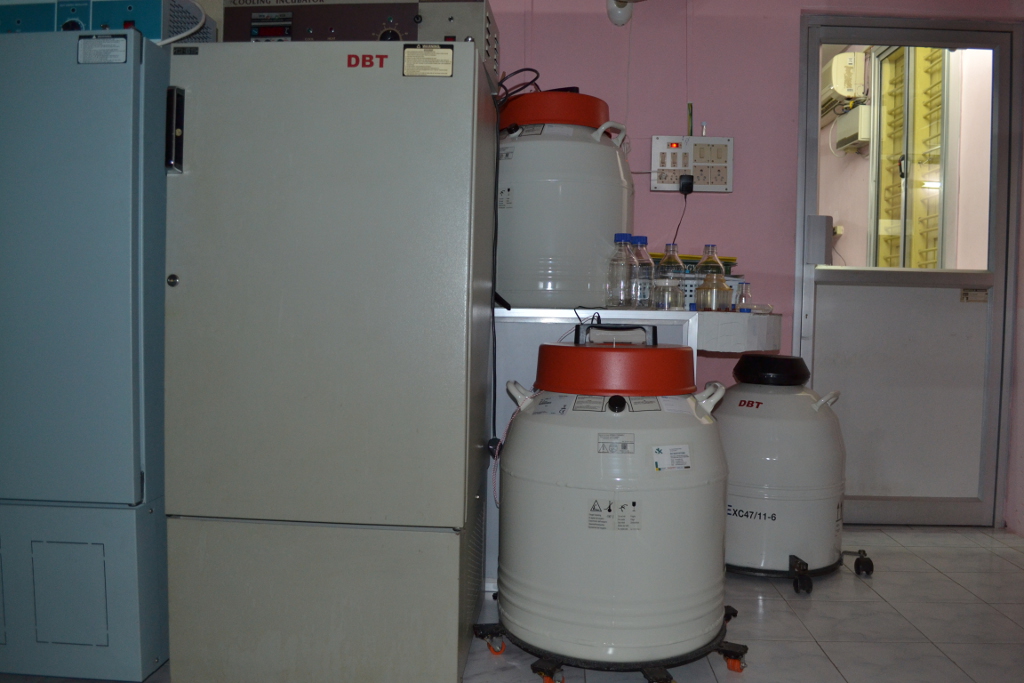 Fish cell repository