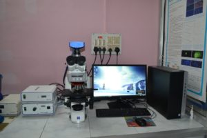 Florescence Inverted Microscope