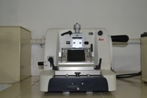 Microtome