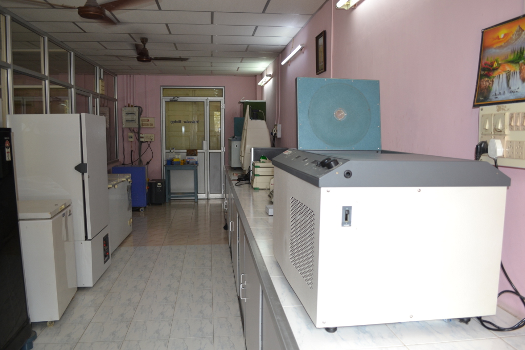 Molecular biology Laboratory II