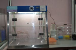 PCR Work station