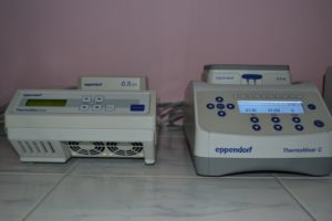 Thermostat & Thermo mixer