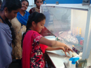 DBT – Sponsored National Workshop on Hands-on Training on Fish Cell Culture Techniques Development and Applications (Batch V – 09th December to 14st December, 2019 (10)