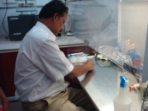 DBT – Sponsored National Workshop on Hands-on Training on Fish Cell Culture Techniques Development and Applications (Batch V – 09th December to 14st December, 2019 (14)