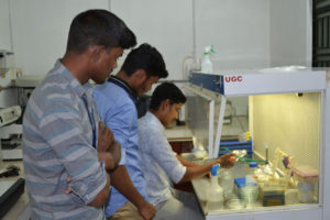 DBT – Sponsored National Workshop on Hands-on Training on Fish Cell Culture Techniques Development and Applications Batch VI – 16th December to 21st December, 2019 (14)